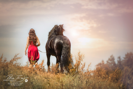 Pony, Pferde ,Pferdefotografie, equine Images, Warmblut, Lusitano, Hengst,Herbst Romantisch schwarzer Hund Mädchen Lusitano Pre braunes Pferd