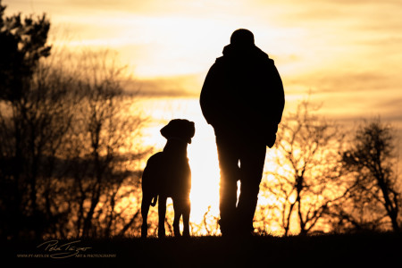 ,Galgo EspaniolJagdhunde, Weimaraner, Rhodesian Ridgeback, Windhunde, Retriever, Pudel, Malteser, Kooiker, Bernhardiner, Bully