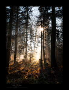 um Althütte im Schwäbischen Wald