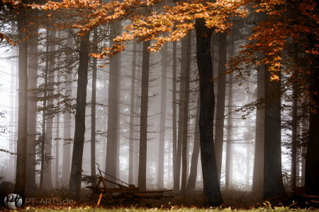 Petra Tänzer Landschaftsfotografie Schwäbischer Wald in Althütte