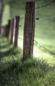 Landschaftsfotografie-Schwäbischer-Wald7