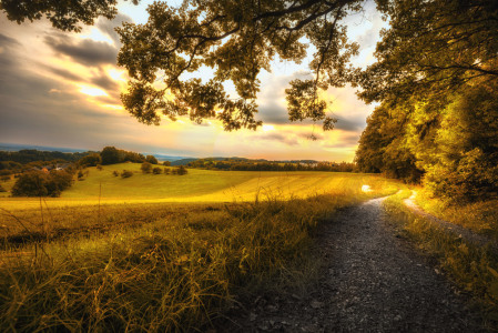 Landschaftsfotografie-Schwäbischer-Wald9