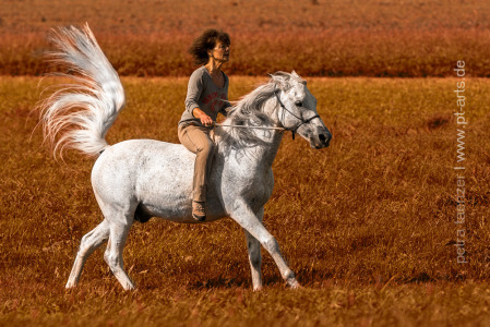 Reiten-ohne-Sattel-in-Aichstrut-Seehöfle