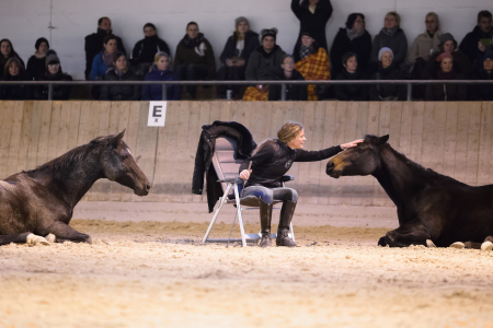 www.horse-in-balance.com Susanne Lohas Vorführung Linslerhof in Überherrn