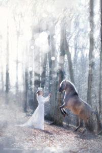 pt-arts-fotografie-tierfotografie-pferde-dülmener-wildpferd-fairytail-winter 02