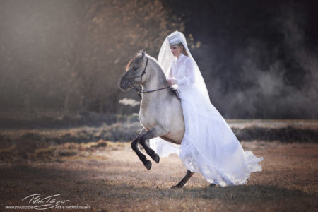 pt-arts-fotografie-tierfotografie-pferde-dülmener-wildpferd-fairytail-winter 03
