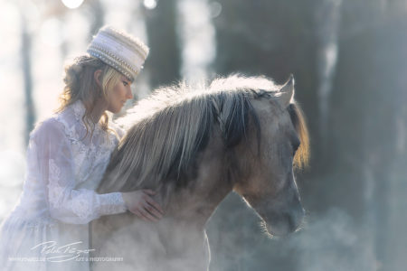 pt-arts-fotografie-tierfotografie-pferde-dülmener-wildpferd-fairytail-winter 05