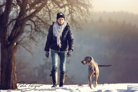 pt-arts-petra-taenzer-fotografie-tierfotografie-hunde-winter-weimaraner 01