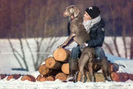 pt-arts-petra-taenzer-fotografie-tierfotografie-hunde-winter-weimaraner 04