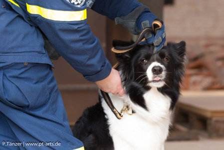 THW-Hundestaffel-BK-122-web-